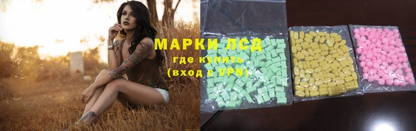 индика Горно-Алтайск