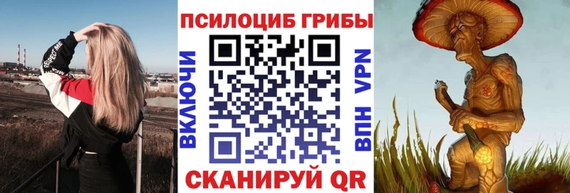 где продают даркнет клад Галлюциногенные грибы мицелий Нарткала