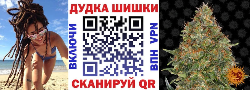 Марихуана план MEGA как зайти Нарткала продажа наркотиков